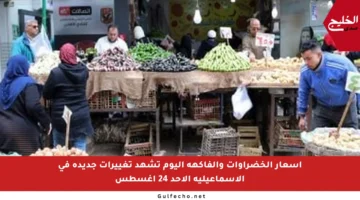أسعار الخضراوات والفاكهة اليوم تشهد تغييرات جديدة في الإسماعيلية الأحد 24 أغسطس
